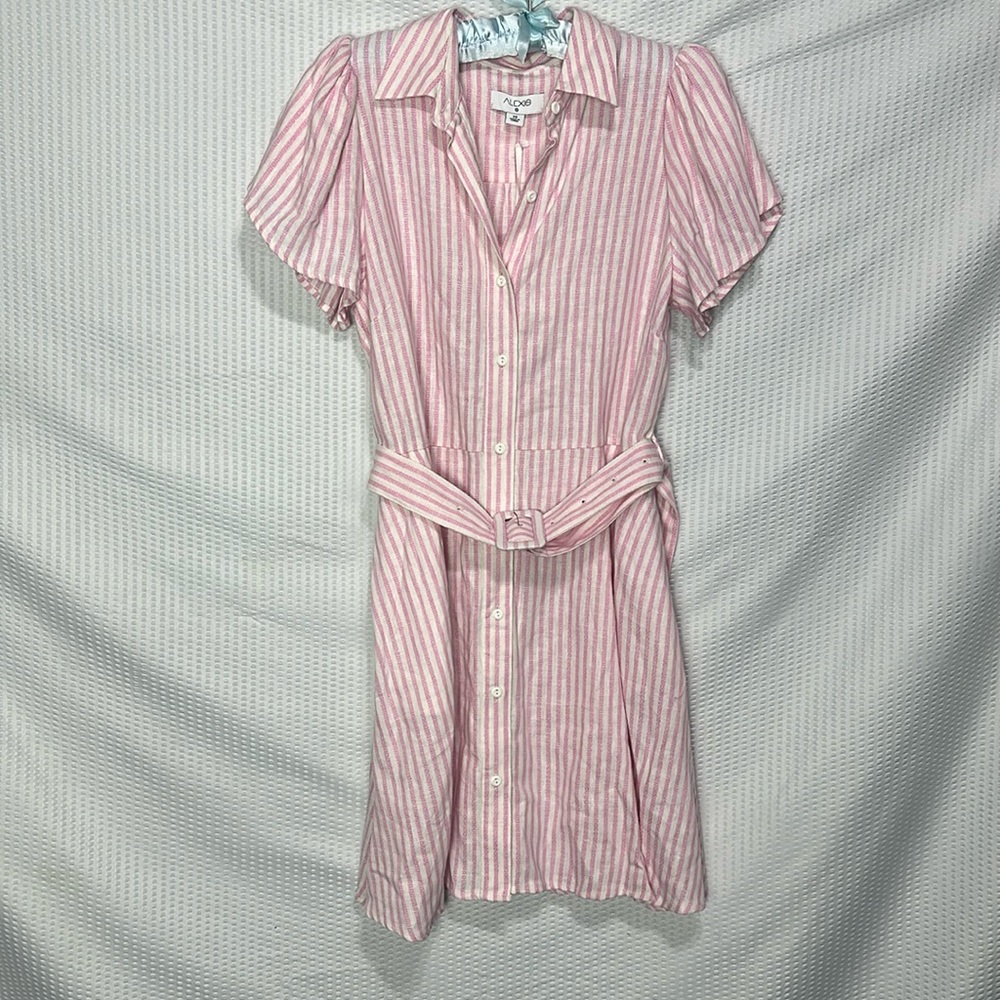 NWT Alexia pink strips Target Dress
